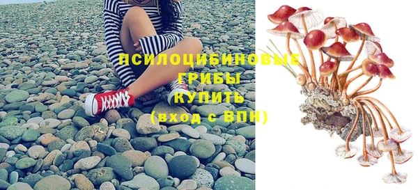 прущие грибы Кинешма