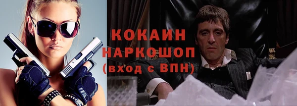 прущие грибы Кинешма