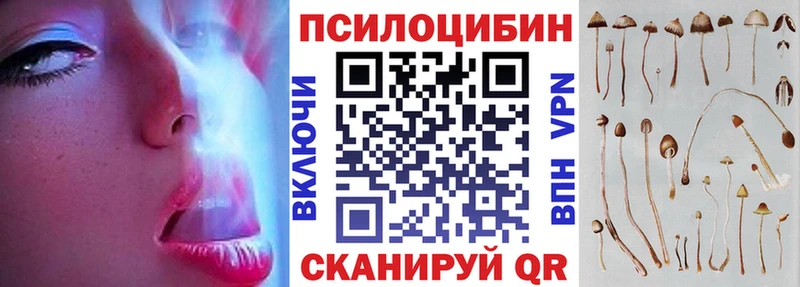KRAKEN ссылки  купить   Кизляр  Галлюциногенные грибы MAGIC MUSHROOMS 